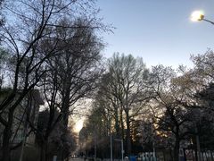 -吉林大学(南岭校区)