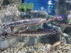 -石林冰雪海洋世界