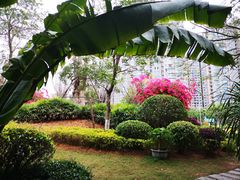 -五缘湾湿地公园