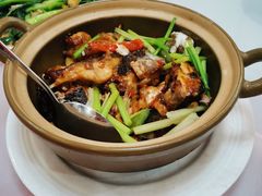 砂锅鱼头煲-将军烧鹅海鲜酒楼