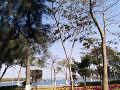-五缘湾湿地公园
