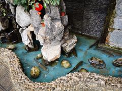 -东巴谷野生菌火锅餐厅