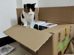 -老佛爷铜炉蛙锅(挂绿店)