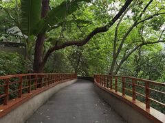 -缙云山景区