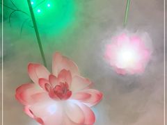 -汤泉良子(金源店)