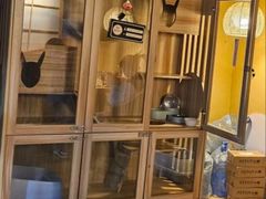 -白兔子密室(长寿路店)