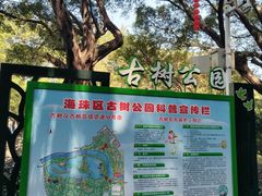 -晓港公园