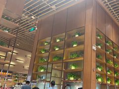-西贝(华发商都店)