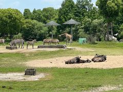 -宁波野生动物园
