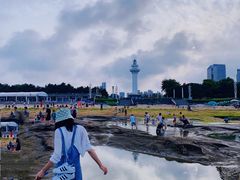 -日照灯塔风景区