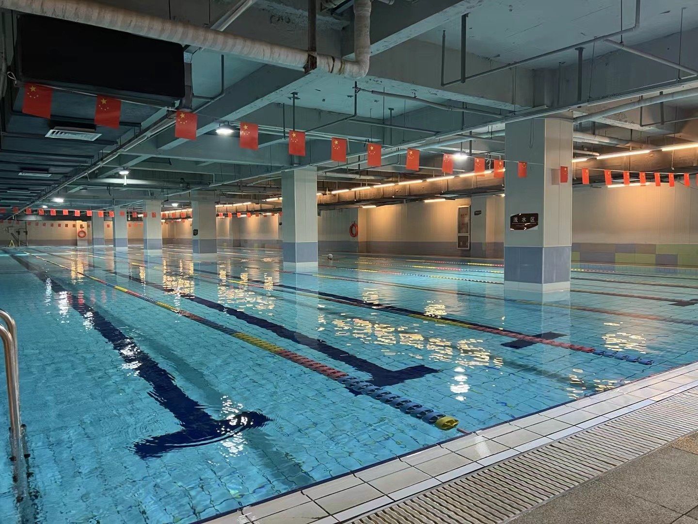 在唐山发现了一家超级清澈的游泳馆