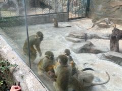 -泉州海丝野生动物世界