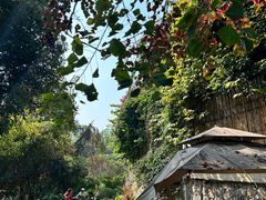 -生态苑农庄(十里画廊遇龙河店)