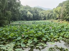 -棒棰岛宾馆景区