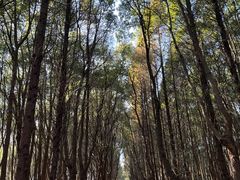 -同里国家湿地公园