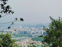 -火炉山森林公园
