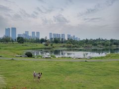 -桂溪生态公园