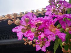 -岭南和园
