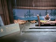 -长沙简牍博物馆