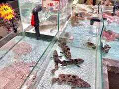 -万龙洲海鲜(大兴绿地缤纷城店)