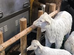 -霄汉羊排(万松园一店)