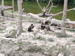 -上海野生动物园