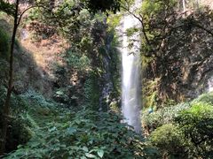 -莫里热带雨林景区