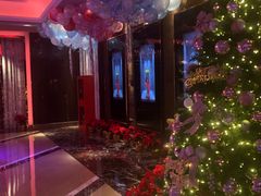 -纯K(打浦桥店)