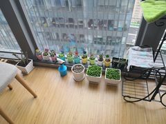 -蒂朵儿童绘画美术教室