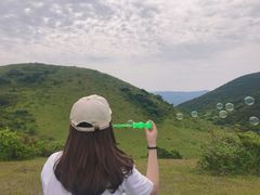 -大姆山草场