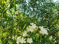 -海文实验幼儿园