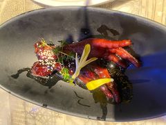 吮指鸡爪-桂满陇天书(南京德基旗舰店)