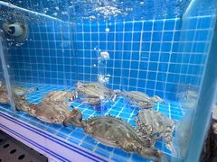 -东厨虾煌(电子街店)