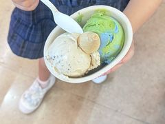 -极拉图·现制冰淇淋(大卫城店)