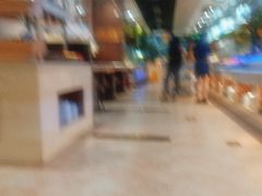 -北京汉斯特自助烤肉(临朐店)