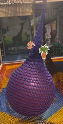 -卡通尼·Safari非洲探索乐园·生日会(金桥国际商业广场店)