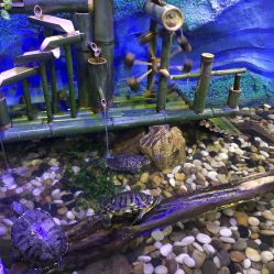 -酷嗒动物文化乐园(cutezoo西溪乐天城店)