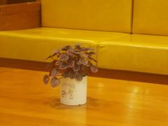 -深圳海景嘉途酒店(东翼楼)