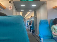 -龙阳路磁悬浮列车总站-停车场