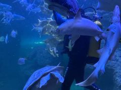 -左海海底世界