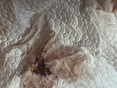 -翠花老菜饺子馆(七宝店)