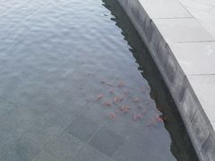 -奔驰北京极光星徽(四元桥店)