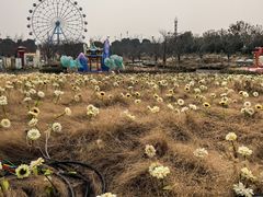 -云幽谷旅游区