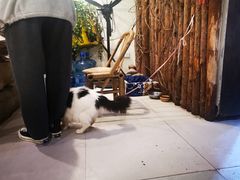 -仪表厂火锅(总店)