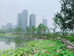 -西海子公园