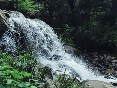 -大围山国家森林公园