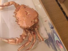 -京料理·日料自助·铁板燒(复悦城店)