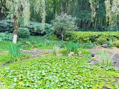 -苏州河梦清园环保主题公园