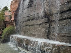 -石家庄市植物园