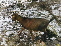 -硗碛藏寨·神木垒景区